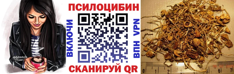Галлюциногенные грибы мицелий  сколько стоит  Волгореченск 